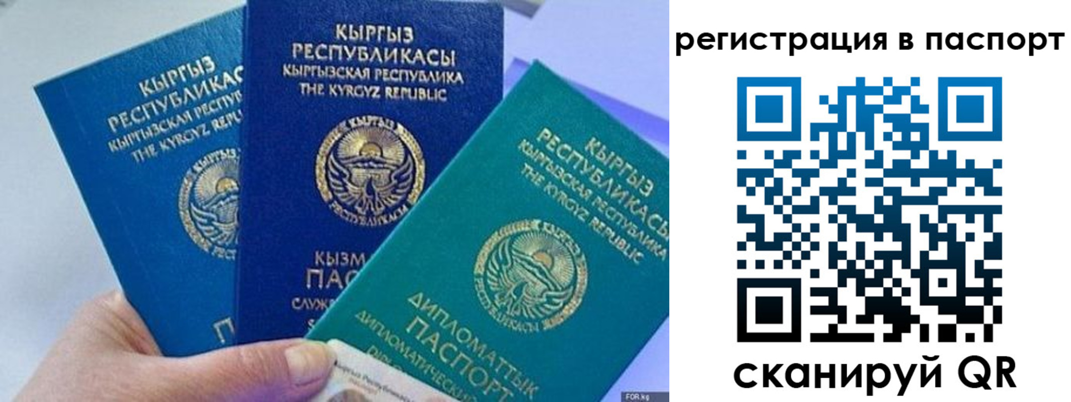 прописка 2025 в Первомайске